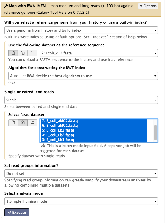 BWA-MEM tool commands