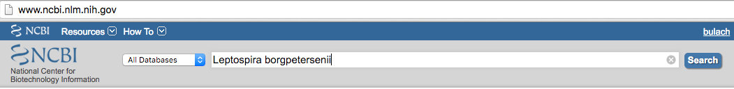 NCBI search box
